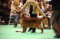 Crufts2011 468